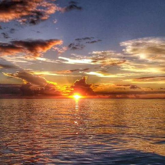 Clearance: Everything Must Go. Make An Offer. Bundle & Save. Buy Now! - Picture 12 of 17